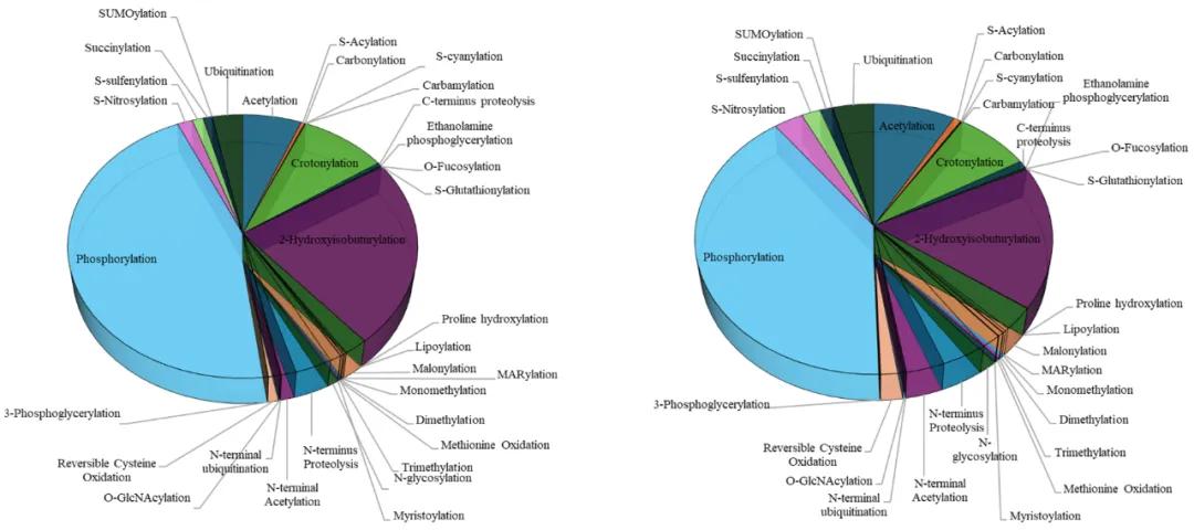 Statistics of 33 PTMs in plants, showing modification sites and proteins involved.